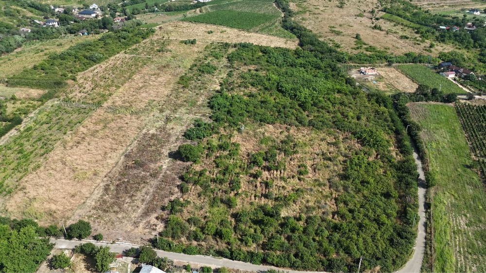 Teren intravilan + extravilan Valea Calugareasca