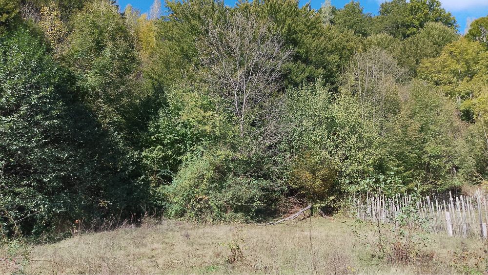 Vand teren in com. Malaia jud. valcea