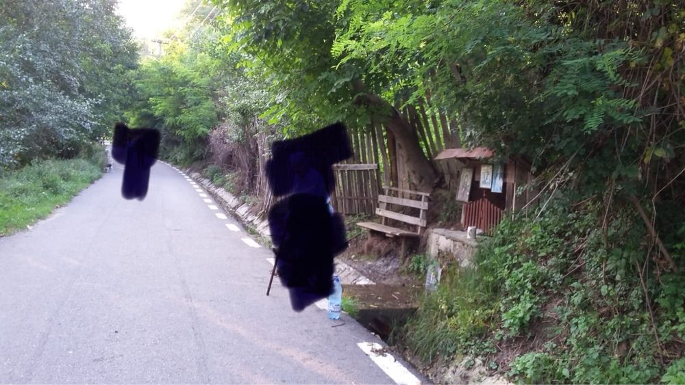 Proprietate ideala investitie(Open Air Blues Festival)-Brezoi(Valcea)