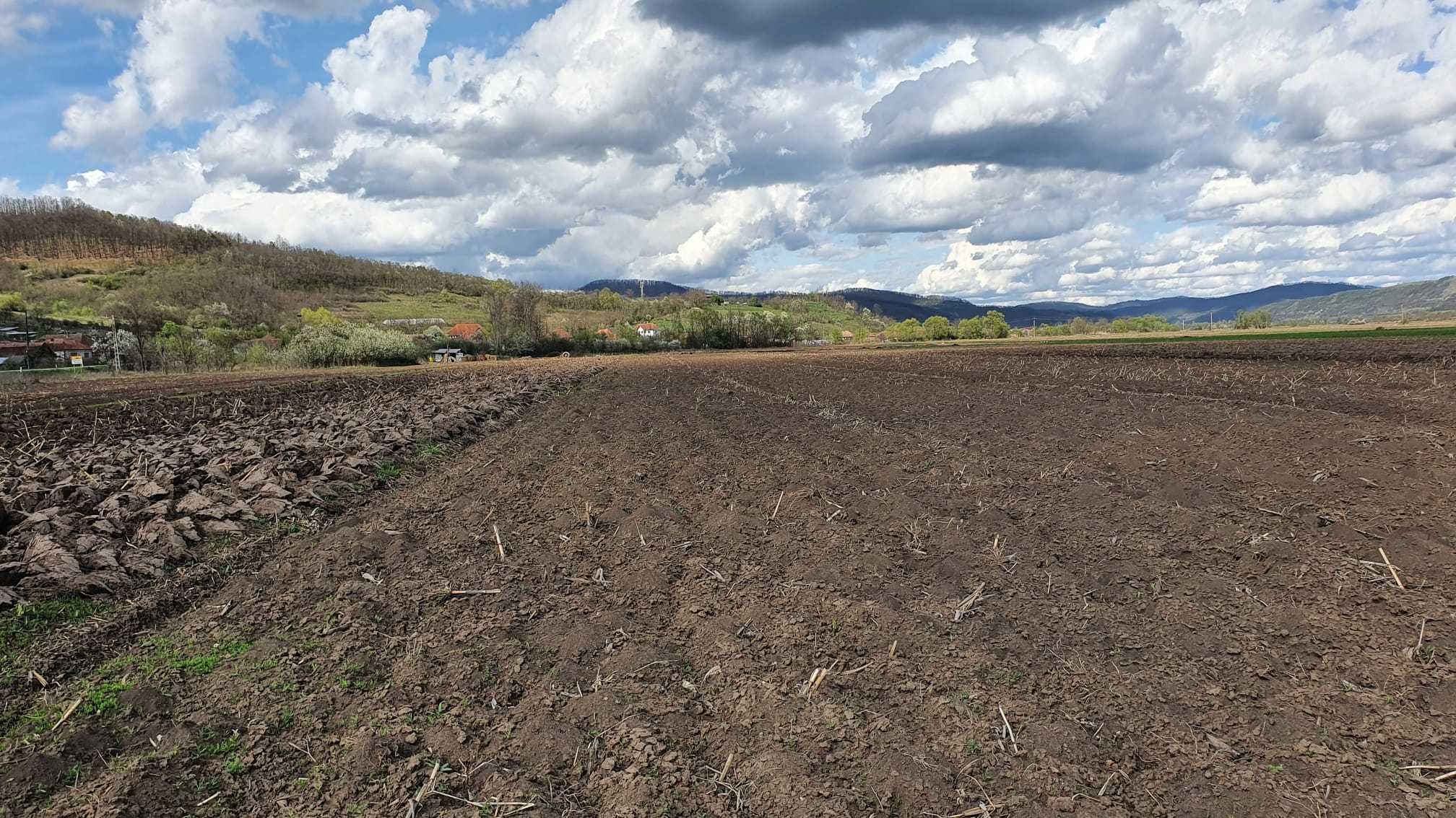 Teren 4300 mp in apropierea nodului de autostrada Zimbor