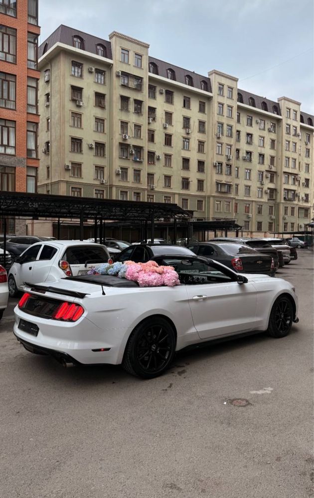 Cabriolet Arenda Renta Car