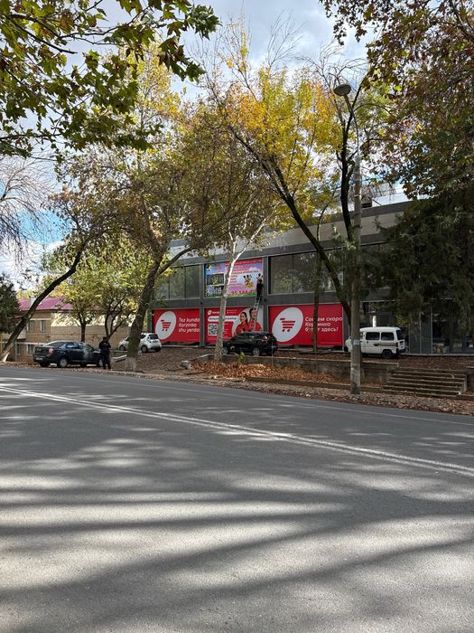 Qibray Mirzo Ulugbek