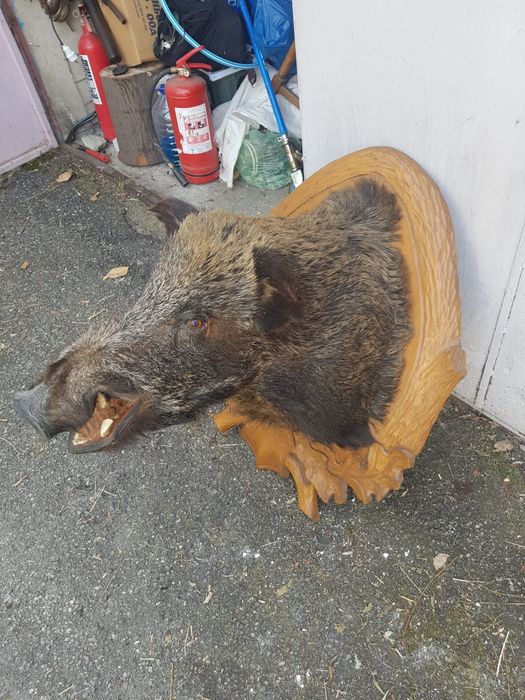 Vand mistret impaiat