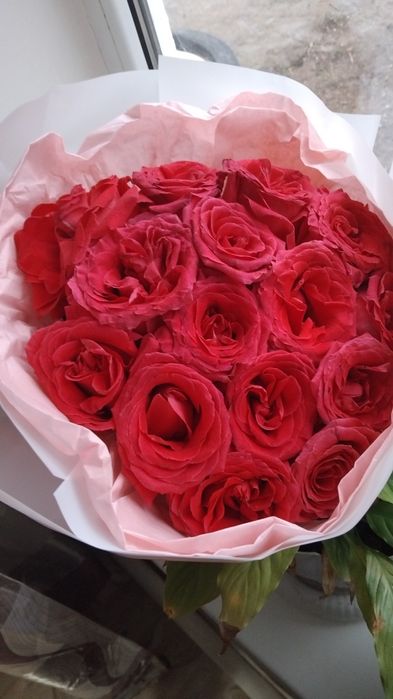 Раушан гүлдері сатылады. Шарлар да бар.