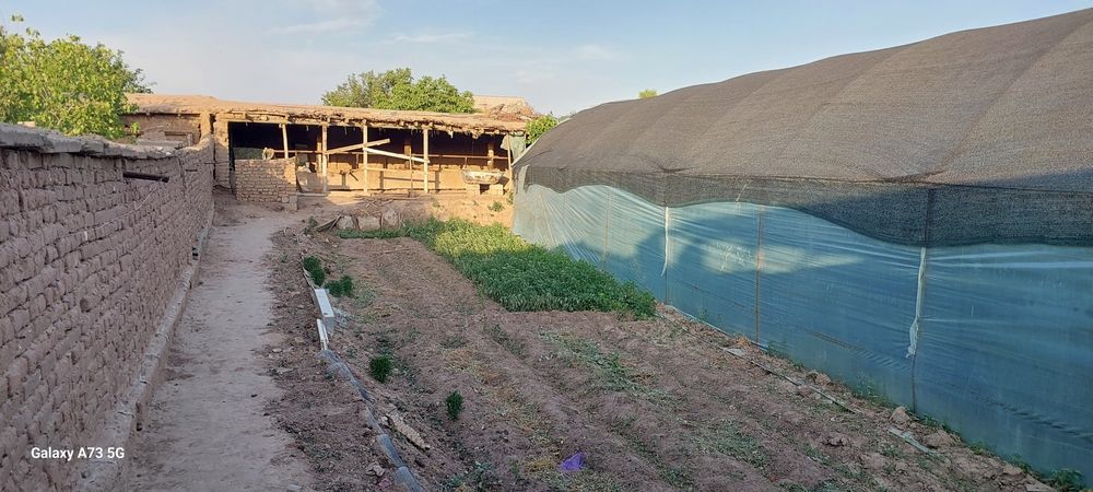 17 сотих ховли уй сотилади