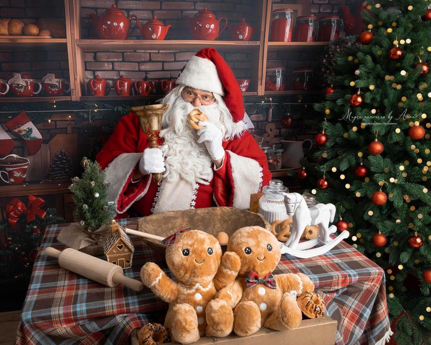 Дядо Коледа покани у дома София