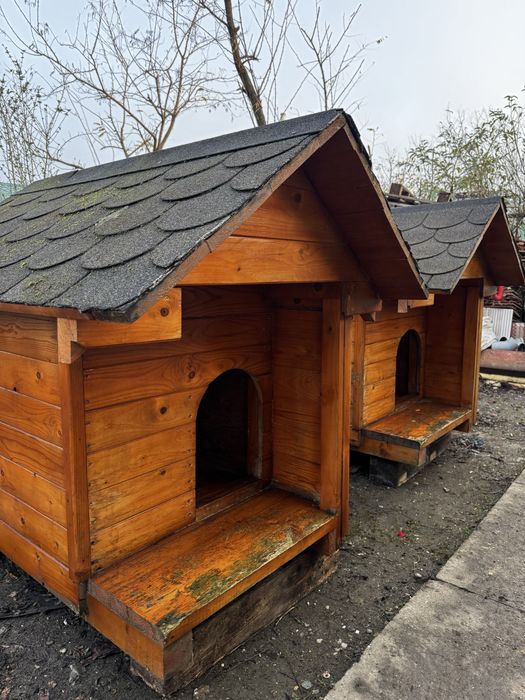 Cusca caine din lemn