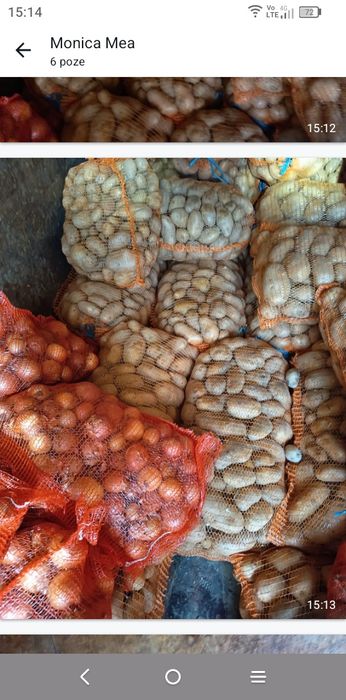 Cartofi de iarna și ceapă diamant cartofi 1,70 lei kg și ceapă