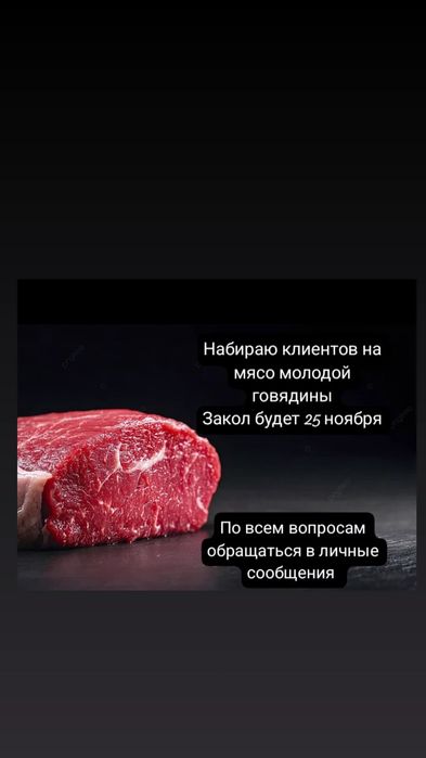 Продам мясо, говядина