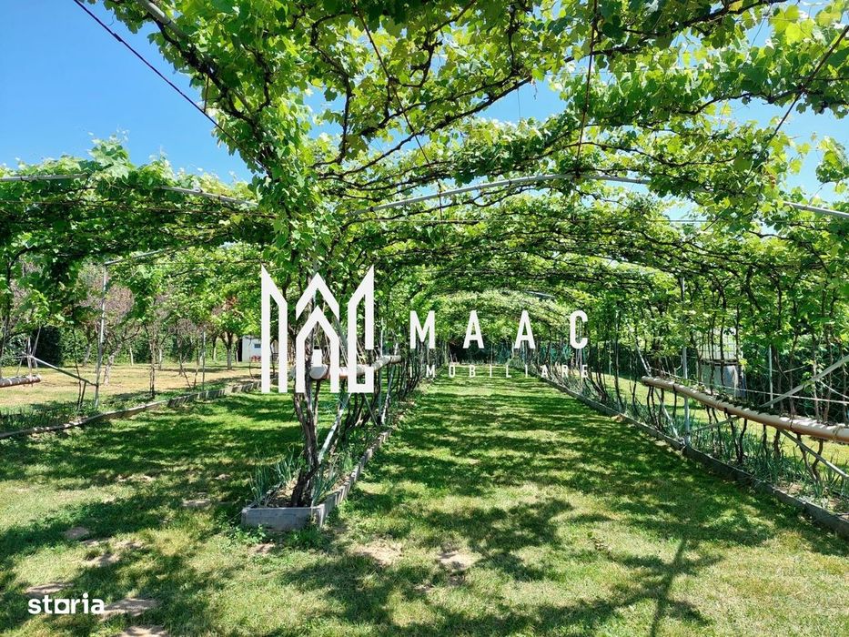 Teren | Intravilan 2.166 Mp | Construcție existenta |  Pădurea Dumbra