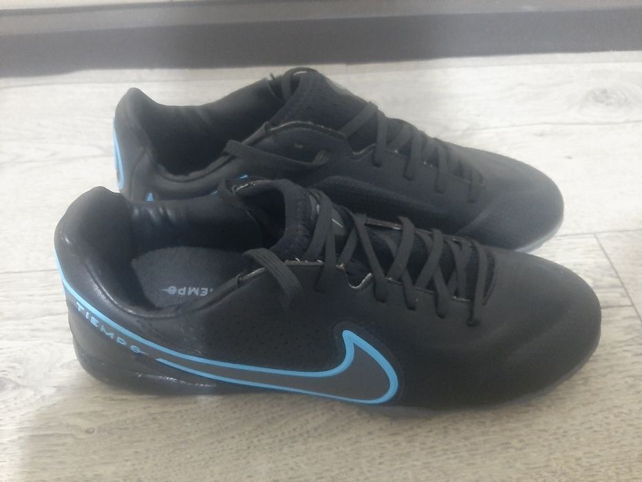 Сороконожки новые