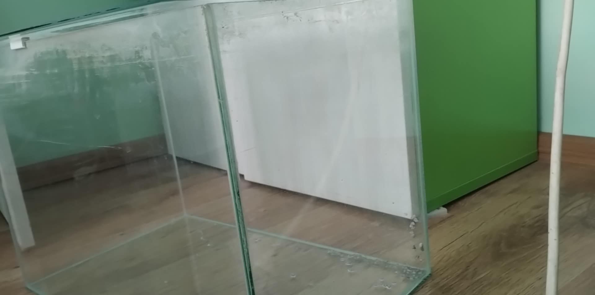 Аквариум в добро състояние