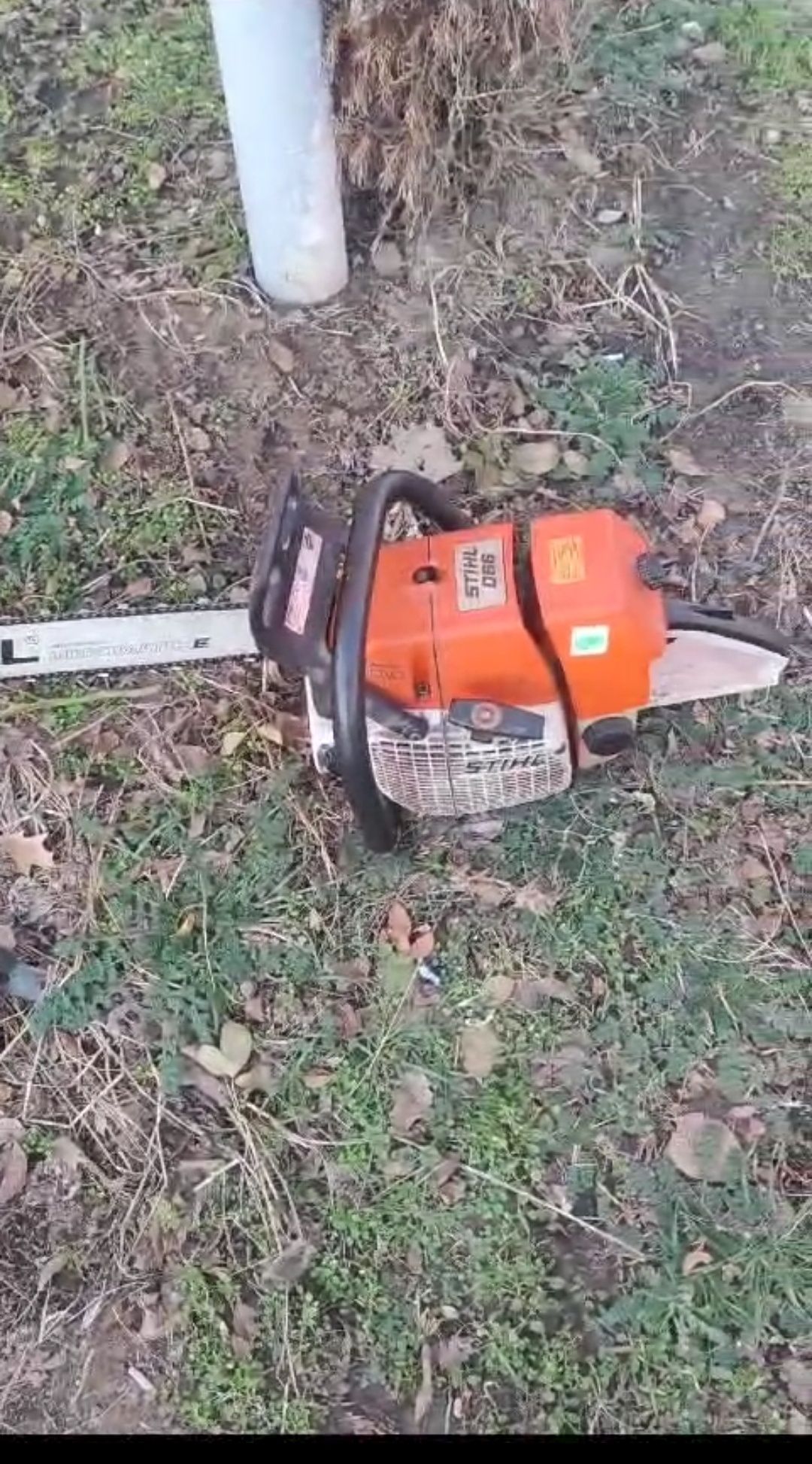 Drujba Stihl 066