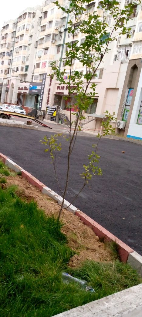 Асфальт ишларини киламиз. Asfalt xizmatlari