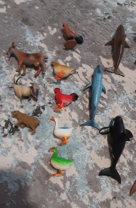 Animale domestice salbatice