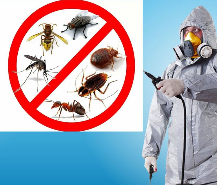 Дезенфекция дизенфекция дезинфекция дизинфекция dizinfeksiya