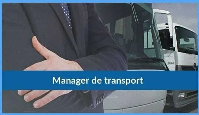 Manager transport marfa si consilier siguranta