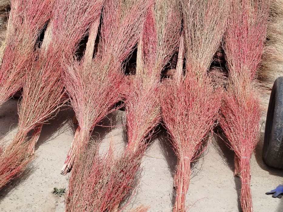 Supurgi venik optom narxlardaa jizzax qizil supurgiyam borr