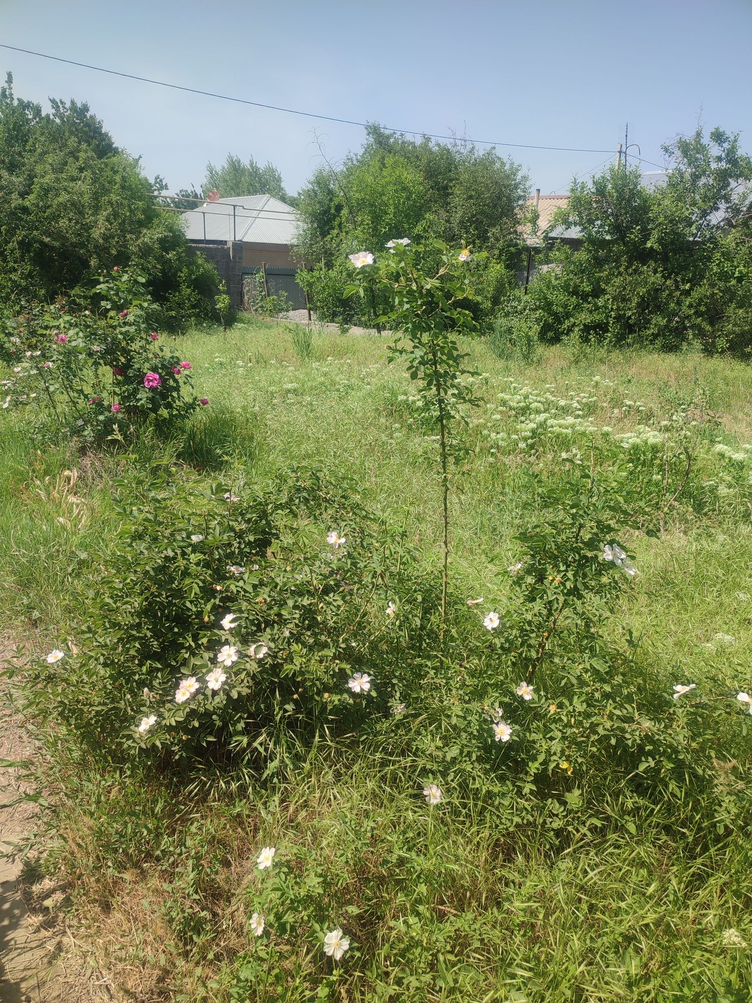 Продается дача кайнар булак