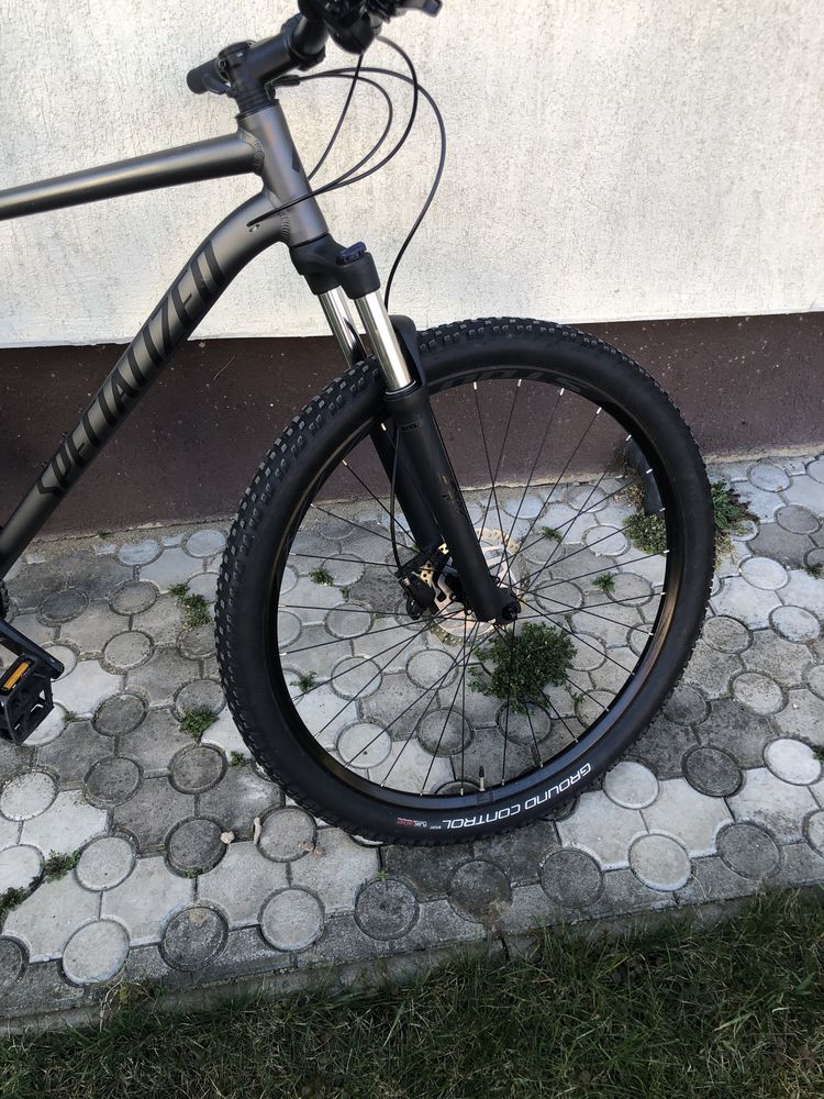 Specialized Rockhopper 29 2022