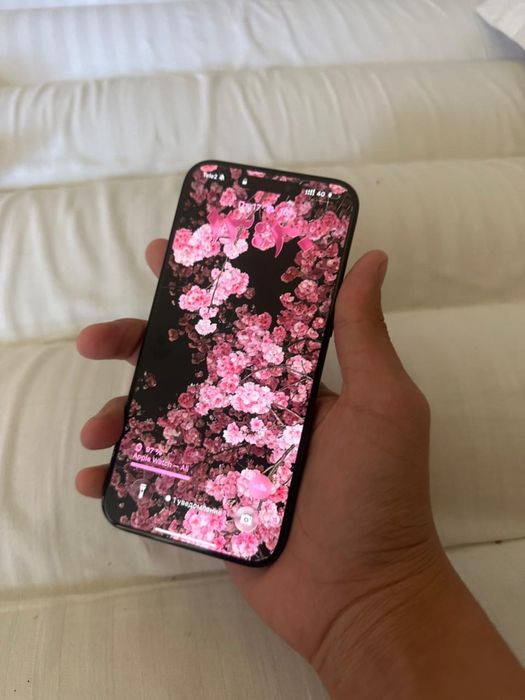 Iphone 15 pro max 256 89%