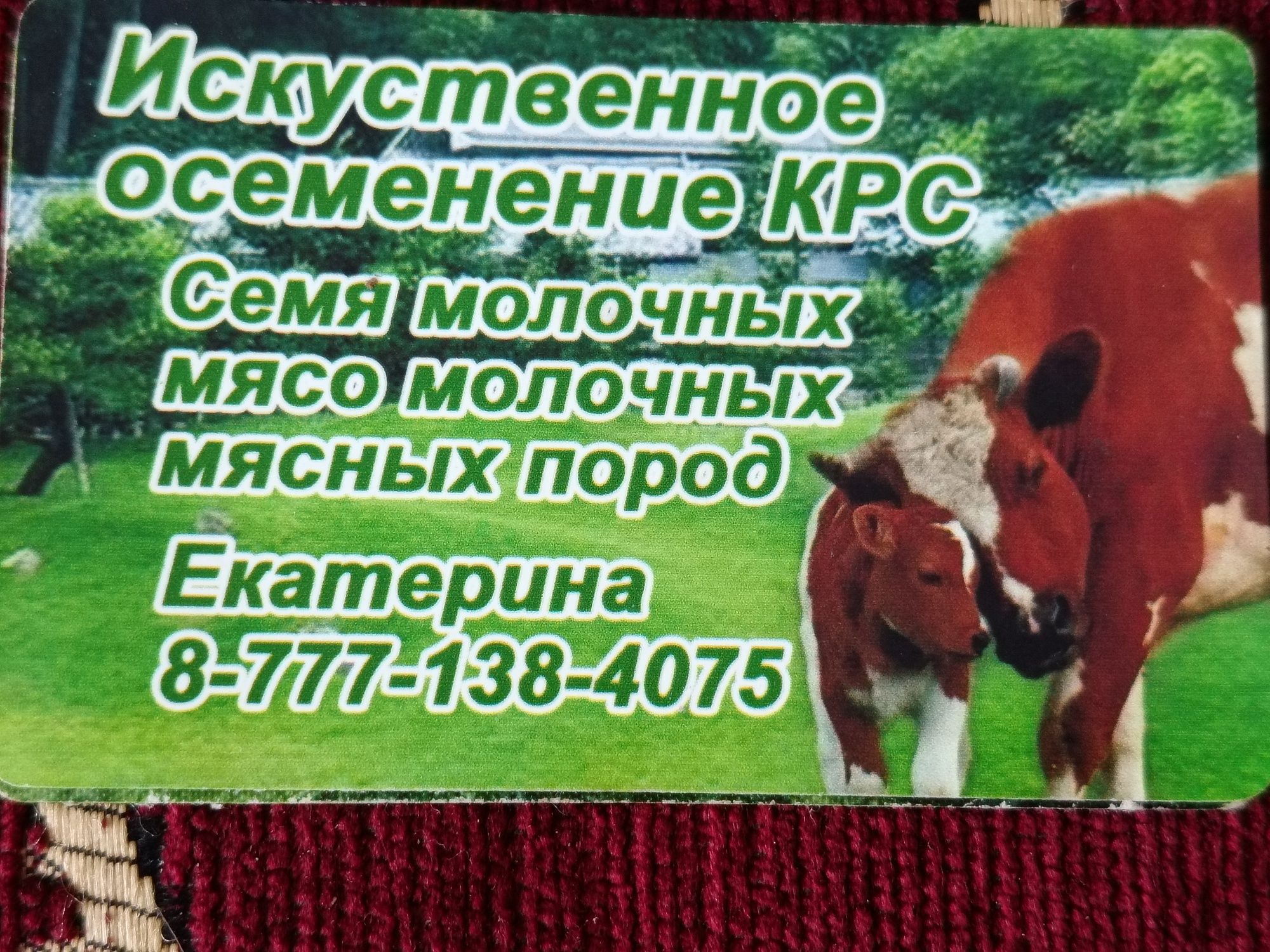 Искуственное осеменение