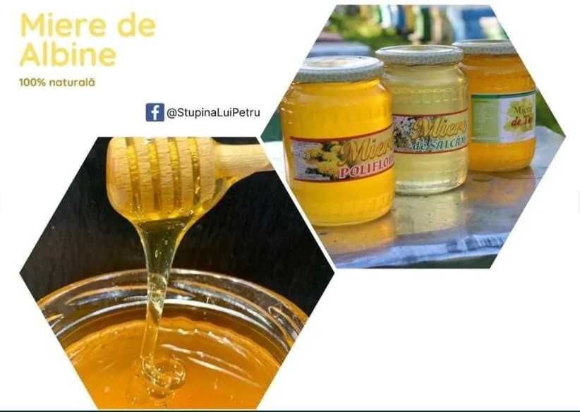 Miere de albine diverse sortimente