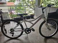 Vând bicicletă domnișoară