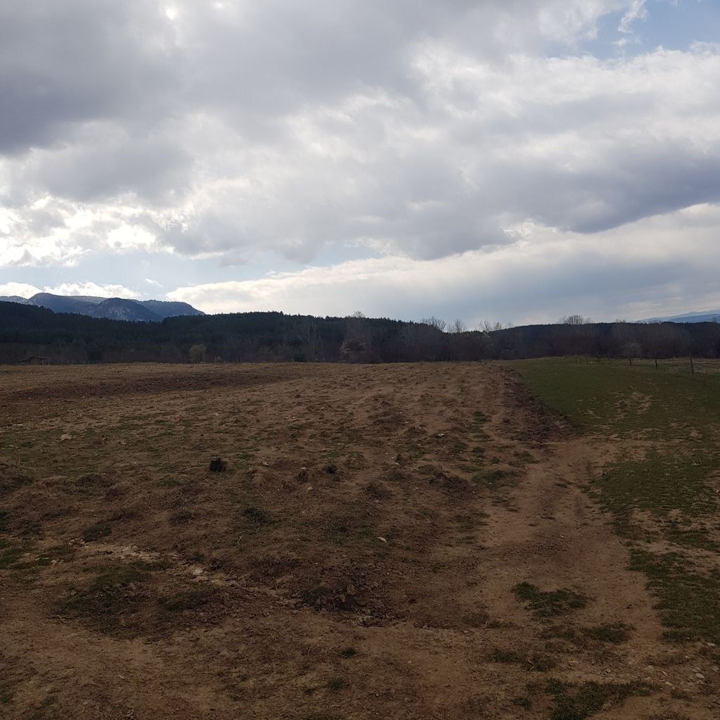 Продава се Парцел в Сапарева баня - 1400 кв.м за 11 €/кв.м - Снимка #2