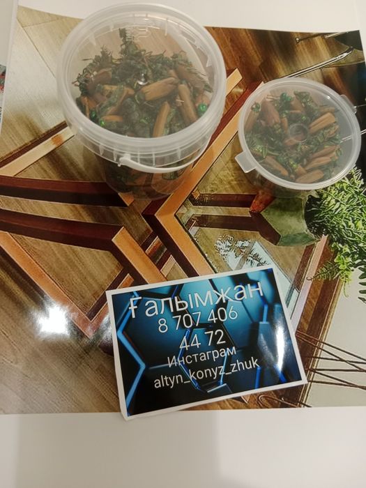 Алтын коныз Майский жук Золотой жук емдык Простотитке