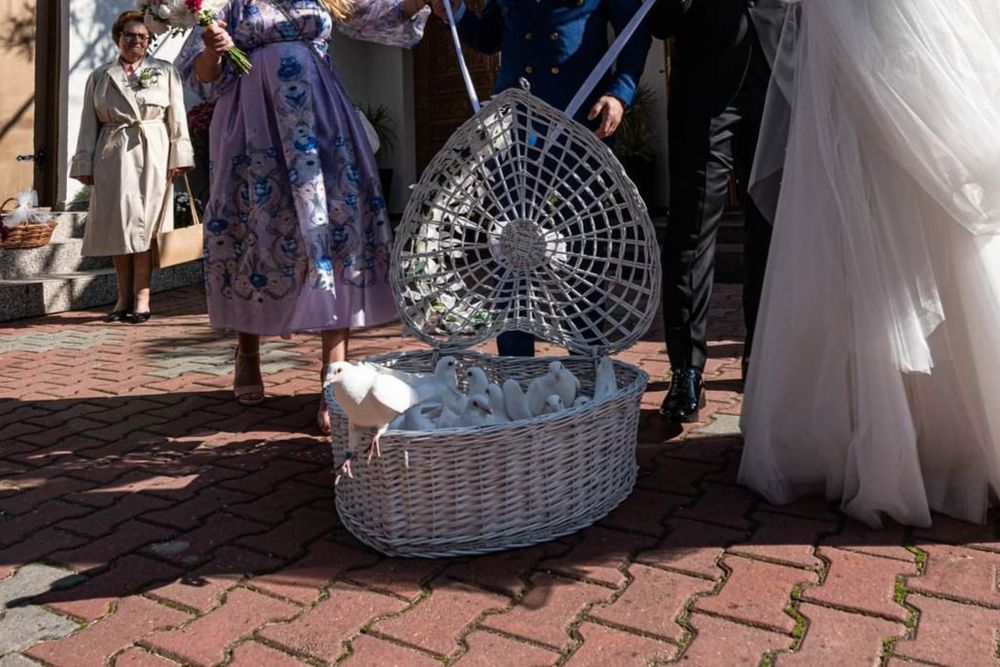 Porumbei albi pentru nunta