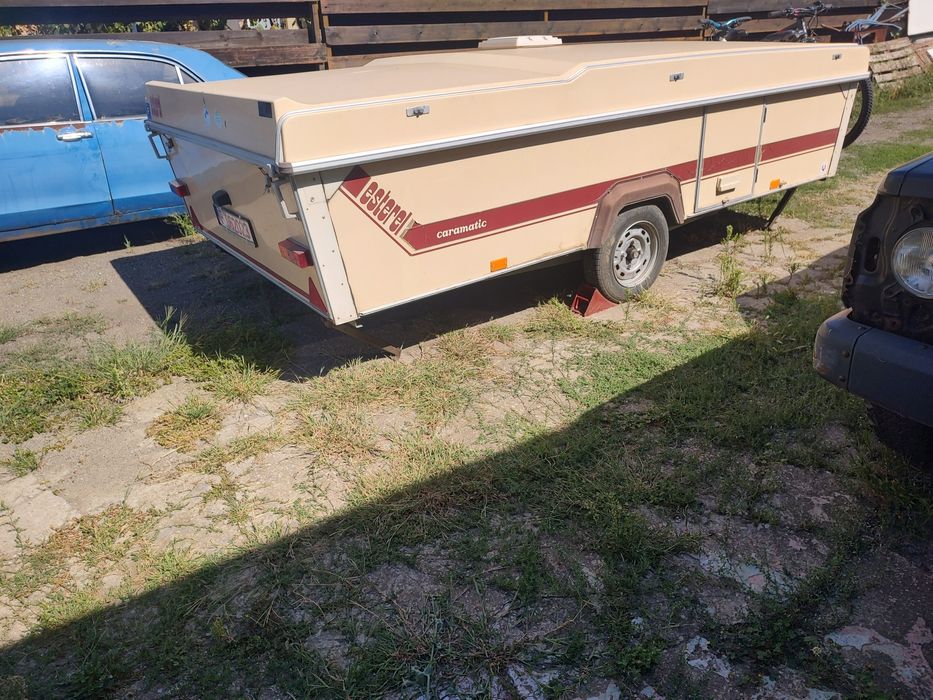 Esterel pliabila plianta