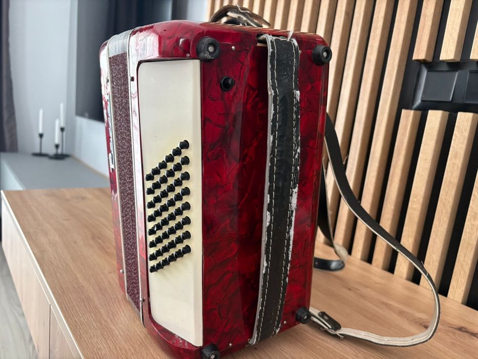 Acordeon Parrot cu 48 de basi