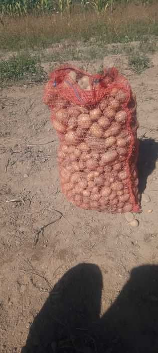 Cartofi pentru animale