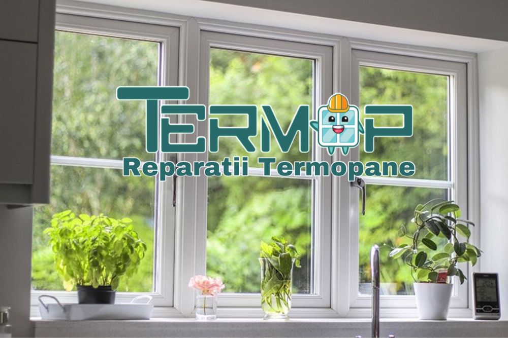 Reparatii Termopane