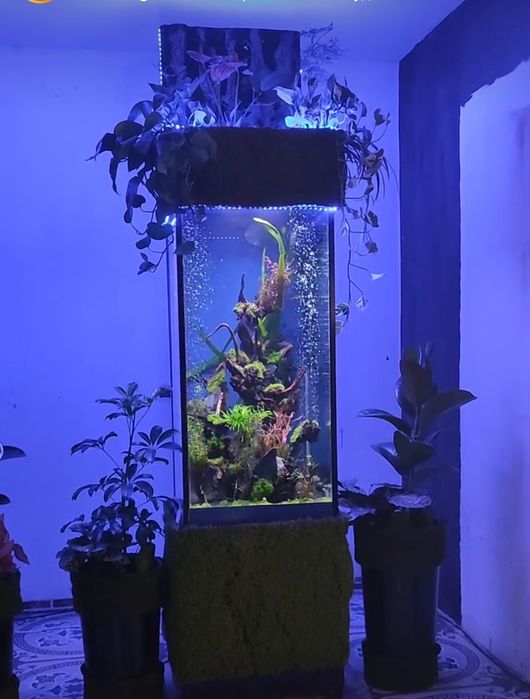 В продаже Аквариум Колонна