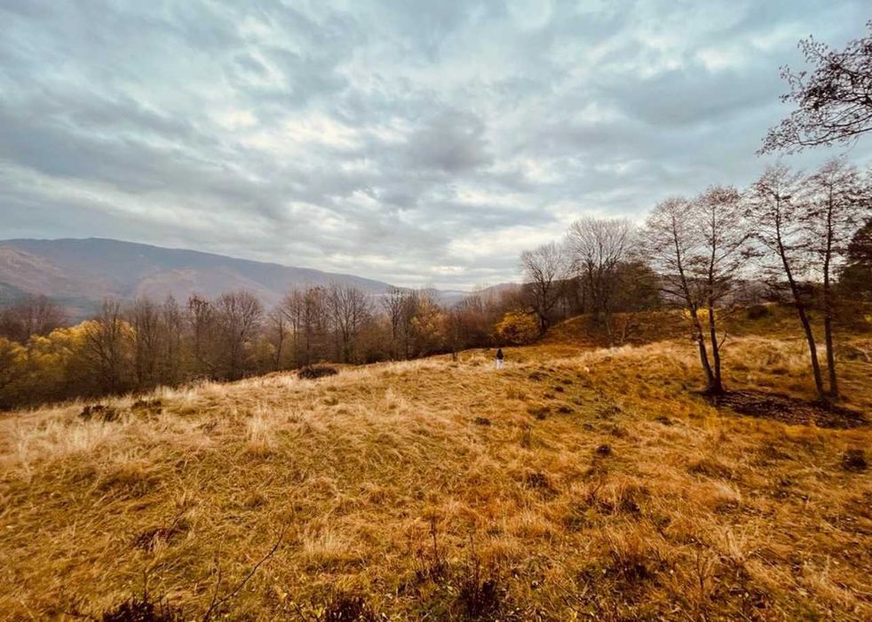 Teren 7.867 mp – Sat Slatina, Comuna Nucșoara | Natură pură, aer curat