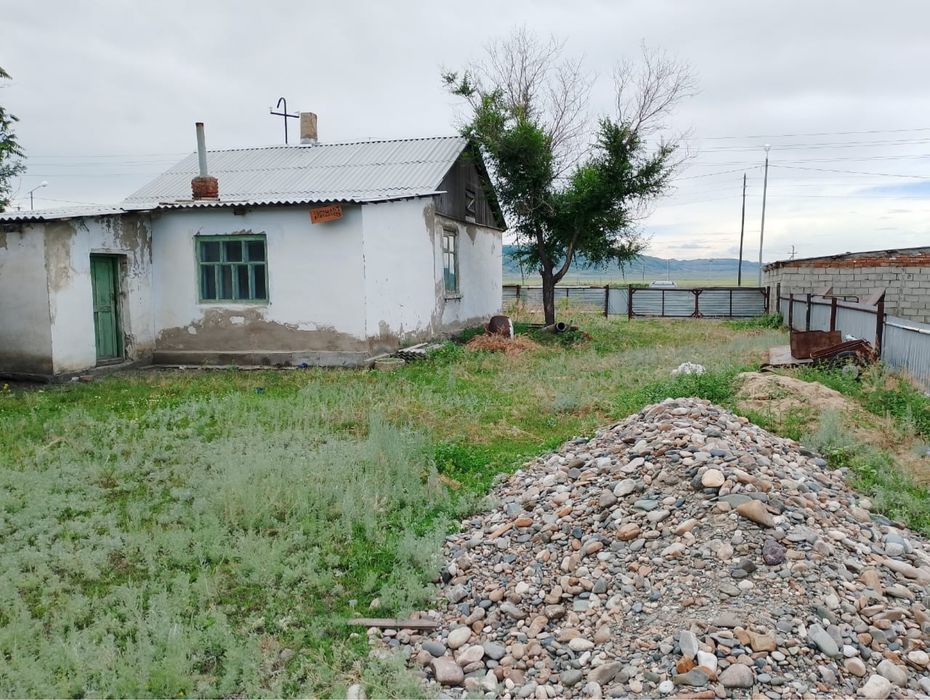 Дом в дереве Алмасай
