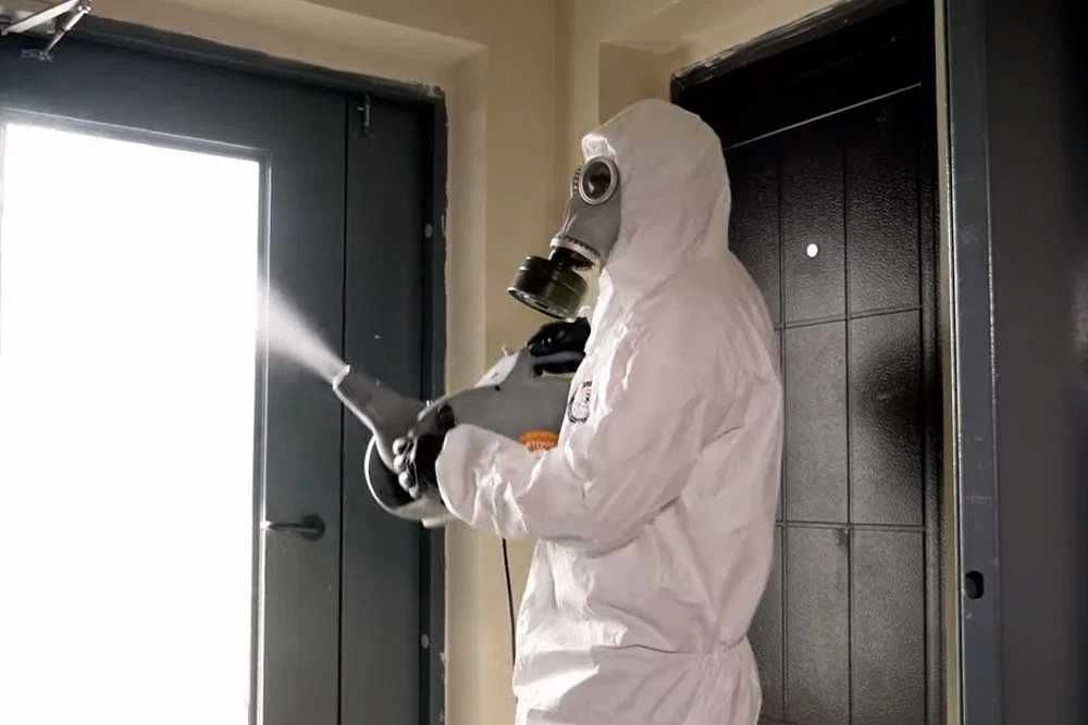 dezinfeksiya dezenfeksiya dizinfeksiya dizenfeksiya дезинфекция klapa