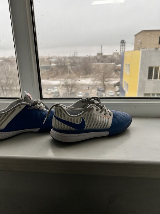 Лунар аргато сороконожки