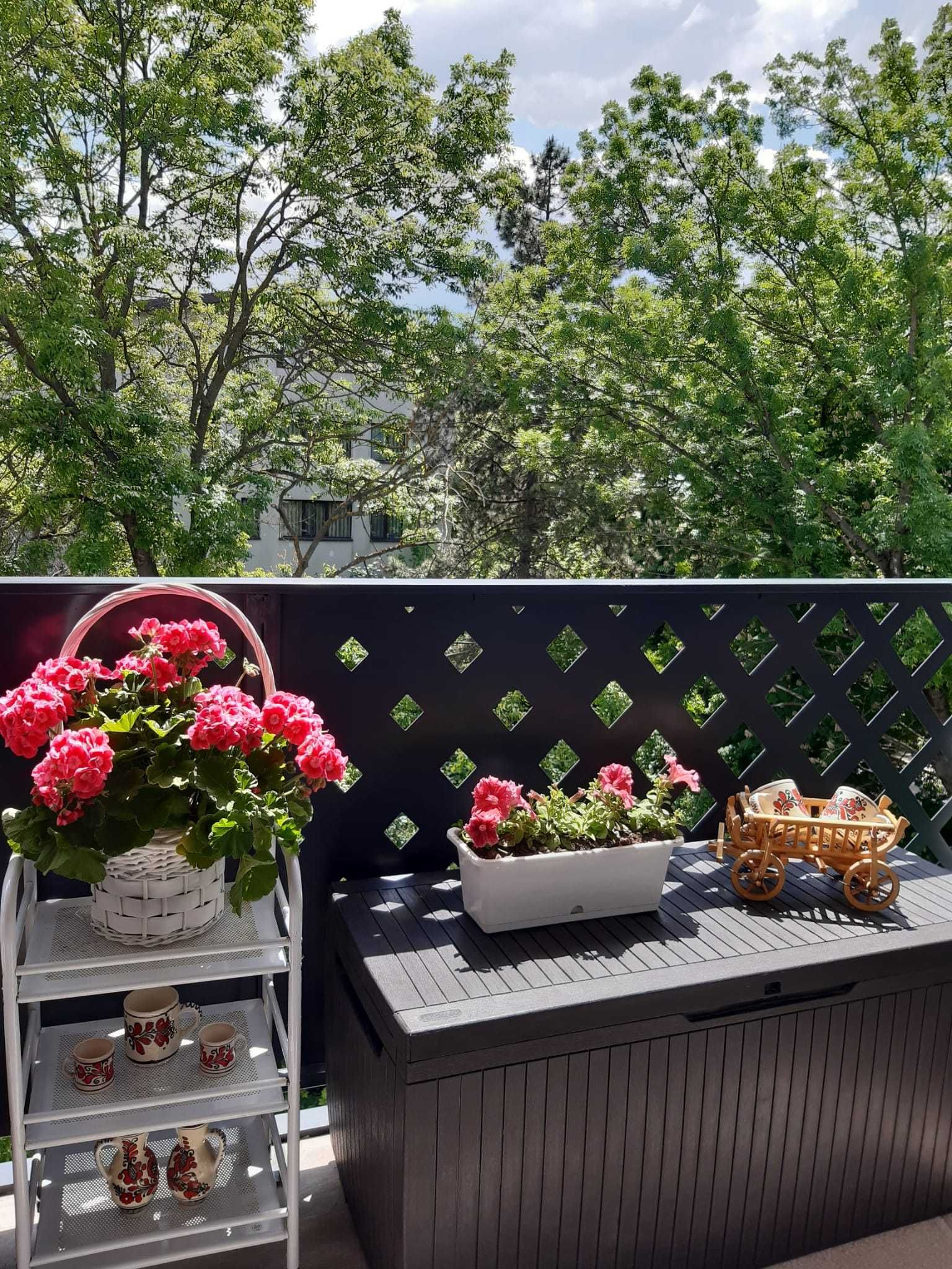 Apartament de lux in inima Copoului