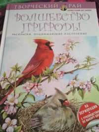 Раскраска антистресс "Волшебство природы"