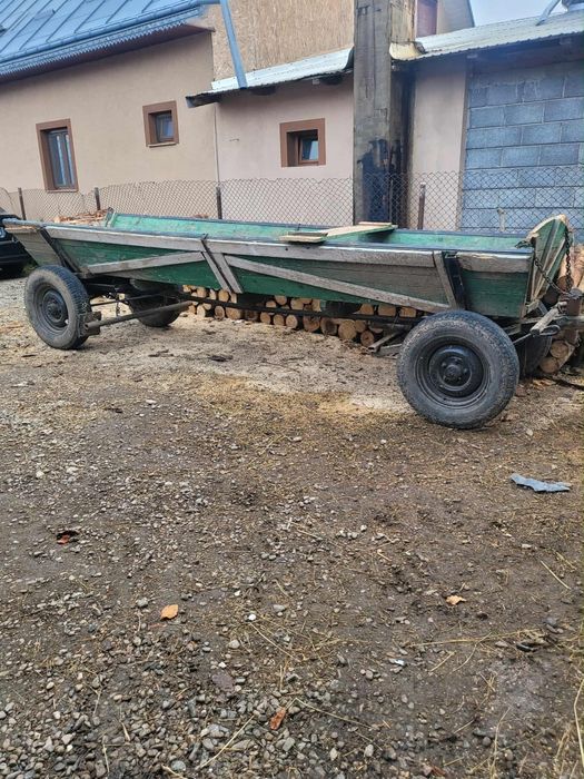 Mânză foarte bună de lucru