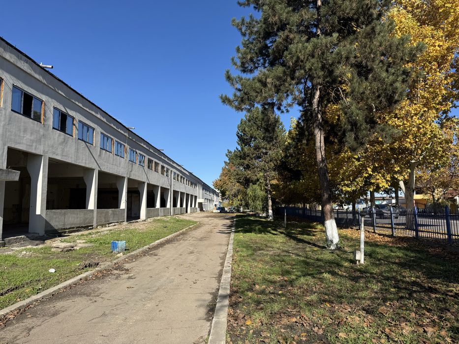 De inchiriat Hale industriale, Magazin