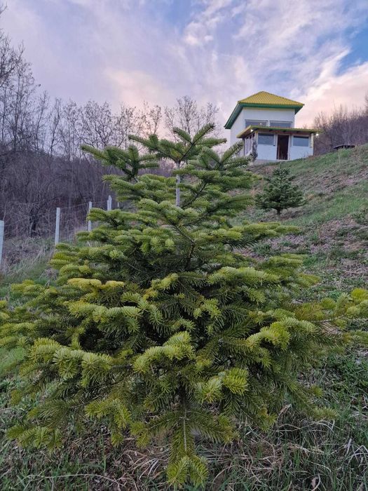 Casa de vacanta schimb