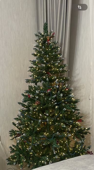 Продам елку 10 тыс