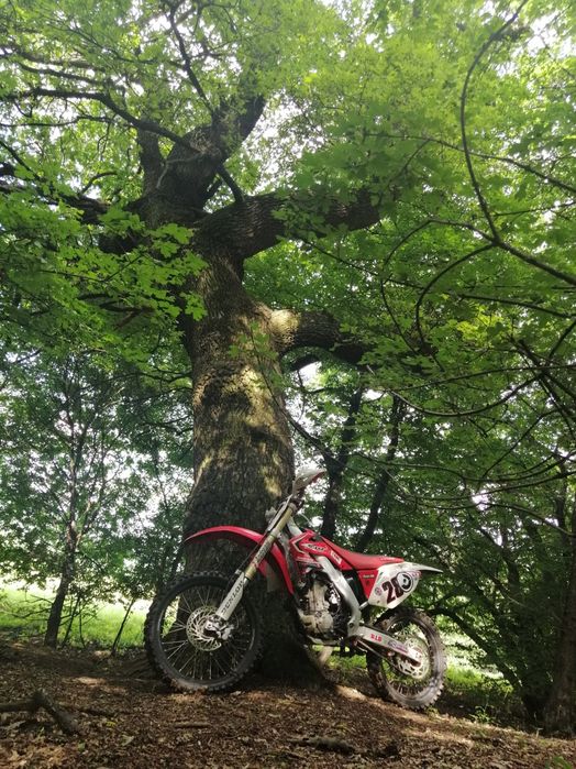 Motocross Honda CRF250 R