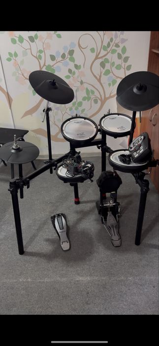 Roland td 11  arginal