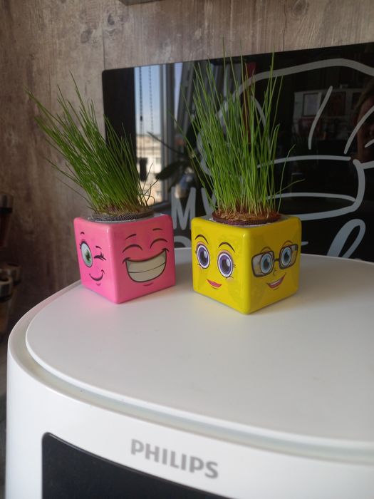 Емотикончо Тревичко - подарък за всеки повод