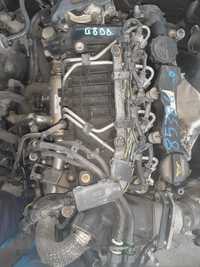 Motor ford 1,6 diesel HHDA G8DD  G8DB